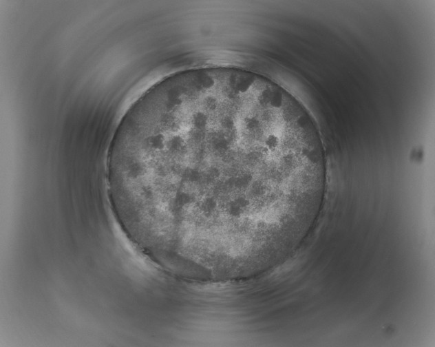 X0000113961047200910232024