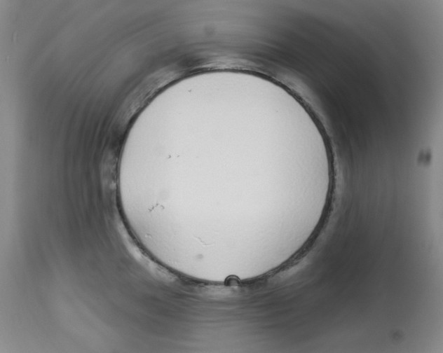 X0000113961049200910232024