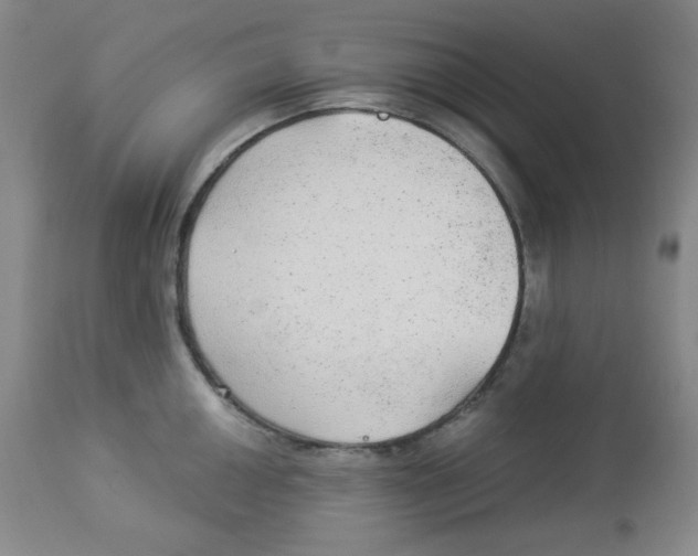 X0000113961050200910232024