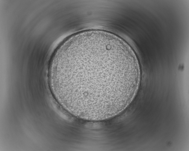 X0000113961051200910232024