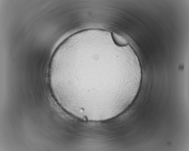 X0000113961052200910232024