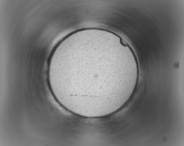 X0000113961053200910232024