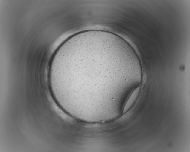 X0000113961054200910232024