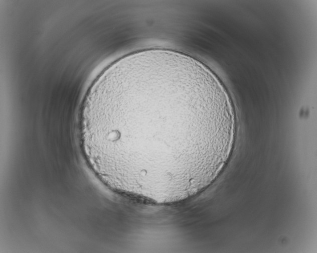 X0000113961056200910232024