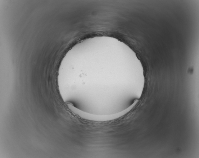 X0000113961057200910232024