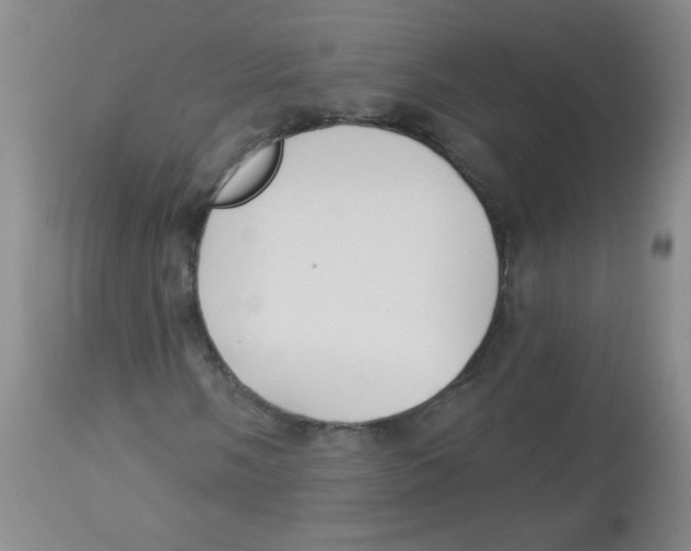 X0000113961058200910232024