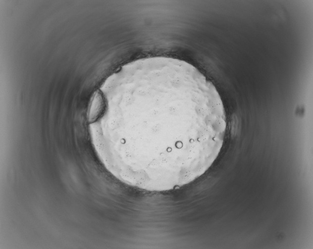 X0000113961059200910232024