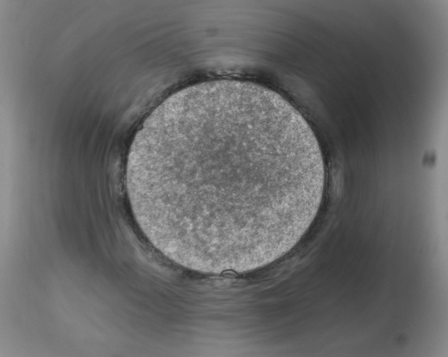 X0000113961060200910232024