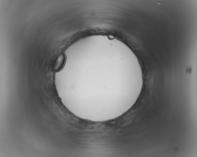 X0000113961061200910232024