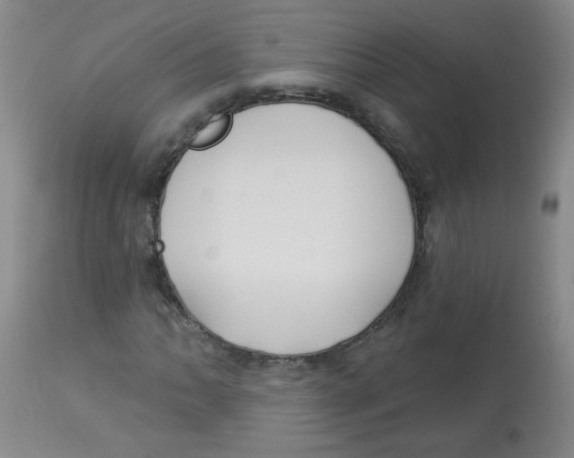 X0000113961062200910232024