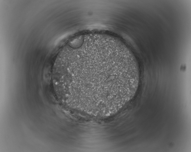 X0000113961063200910232024