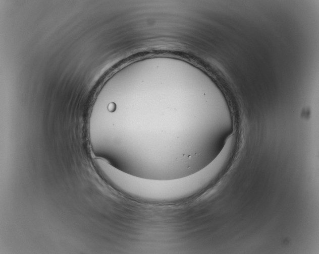 X0000113961065200910232024