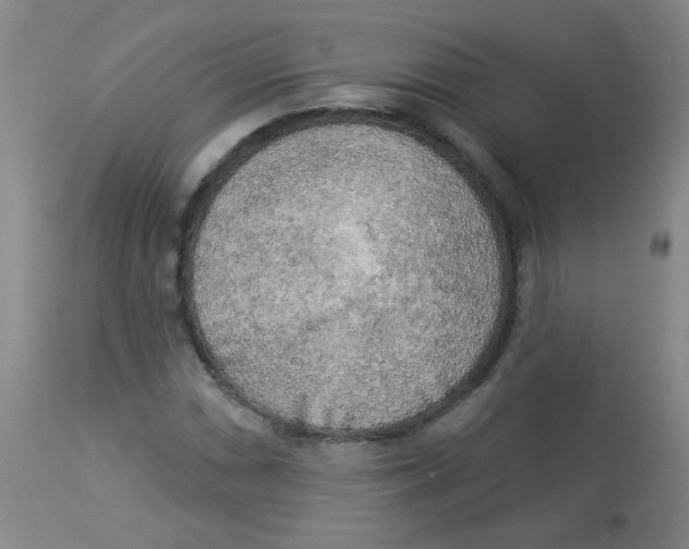 X0000113961066200910232024