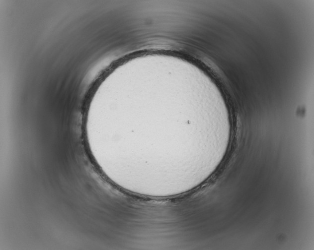 X0000113961067200910232024