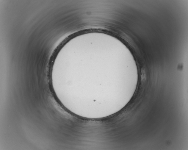 X0000113961068200910232024