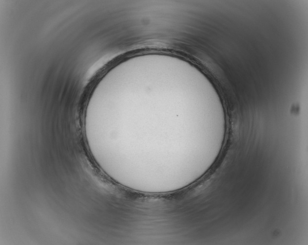 X0000113961070200910232024