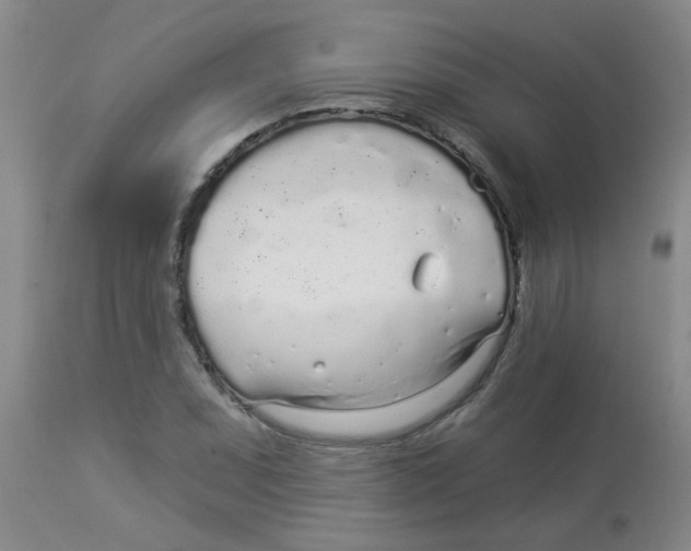 X0000113961071200910232024