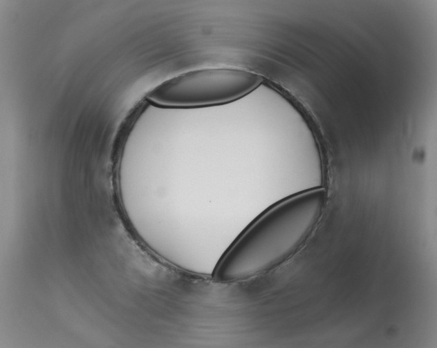 X0000113961072200910232024