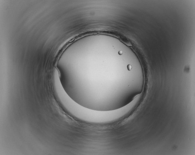 X0000113961073200910232024