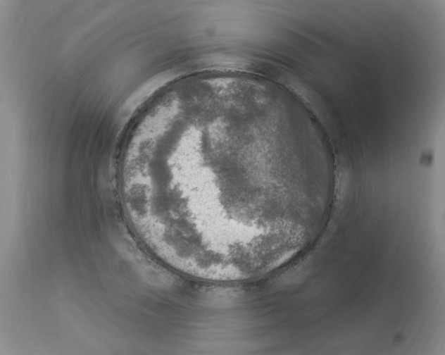 X0000113961074200910232024