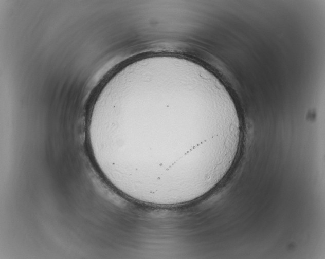 X0000113961075200910232024