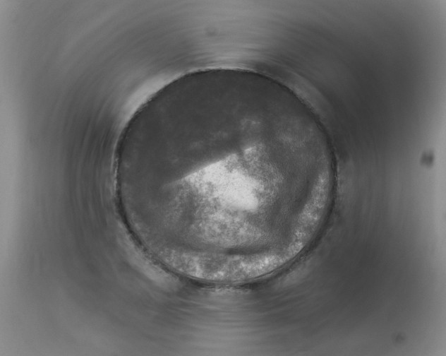 X0000113961077200910232023