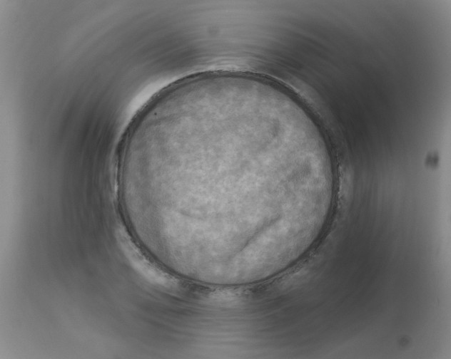 X0000113961078200910232023