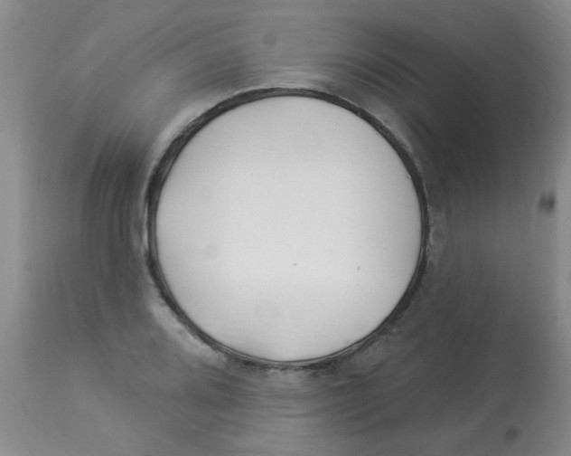 X0000113961080200910232023