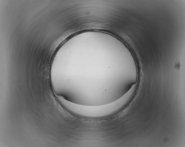 X0000113961081200910232023