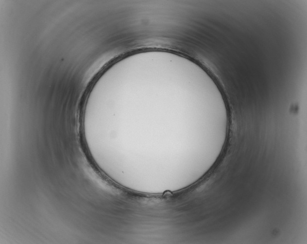 X0000113961082200910232023