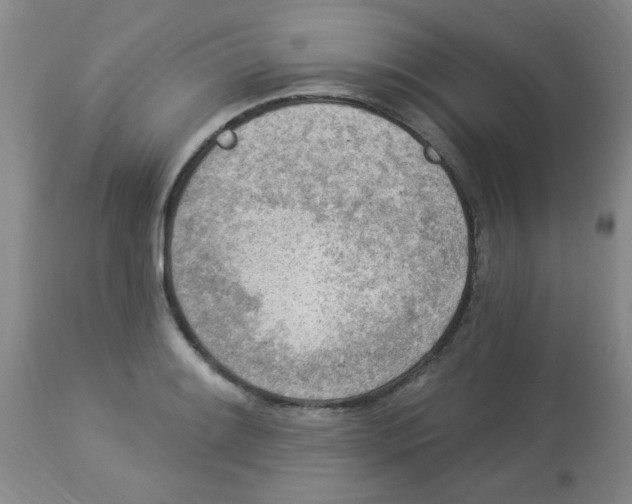 X0000113961084200910232023