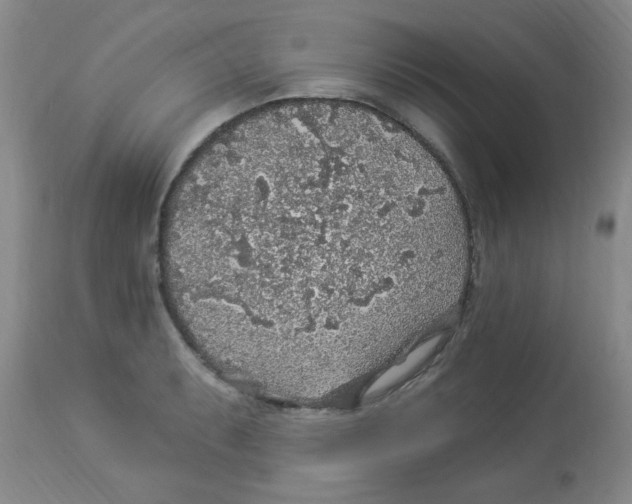 X0000113961087200910232023