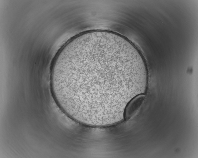 X0000113961088200910232023