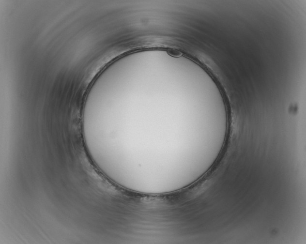 X0000113961089200910232023