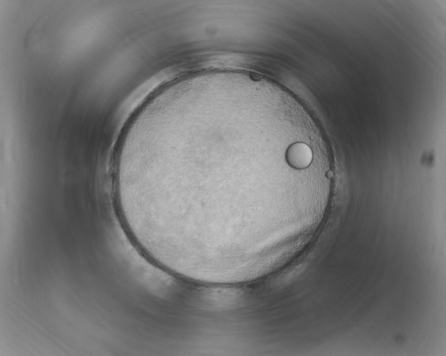 X0000113961090200910232023