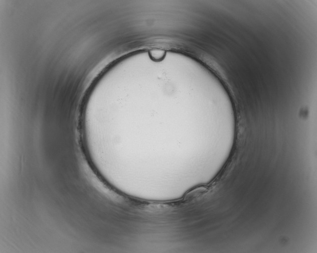 X0000113961091200910232023