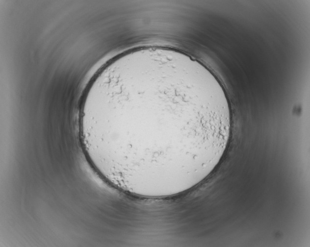 X0000113961092200910232023