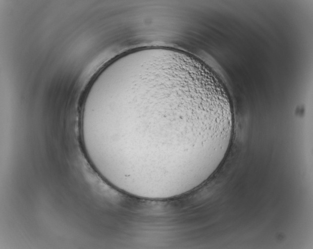 X0000113961096200910232023