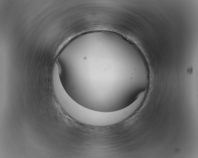 X0000113961097200910232023