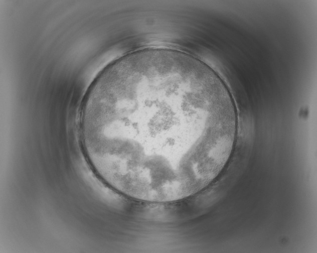 X0000113961098200910232023