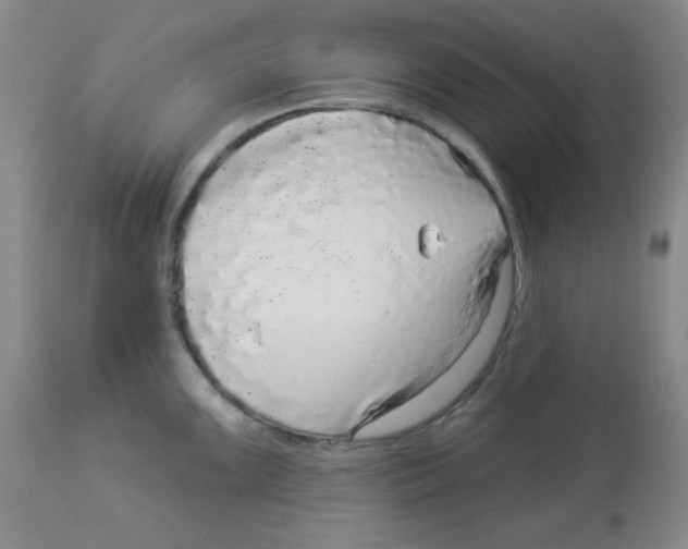 X0000113961099200910232023