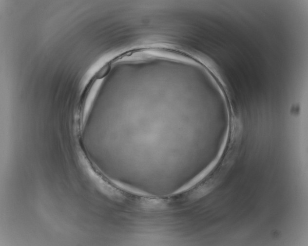 X0000113961101200910232023