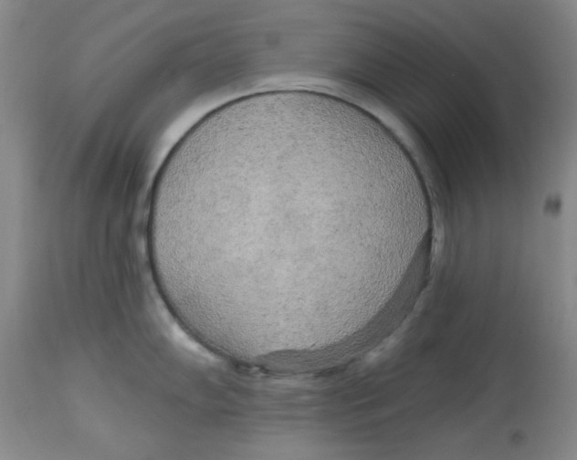 X0000113961102200910232023