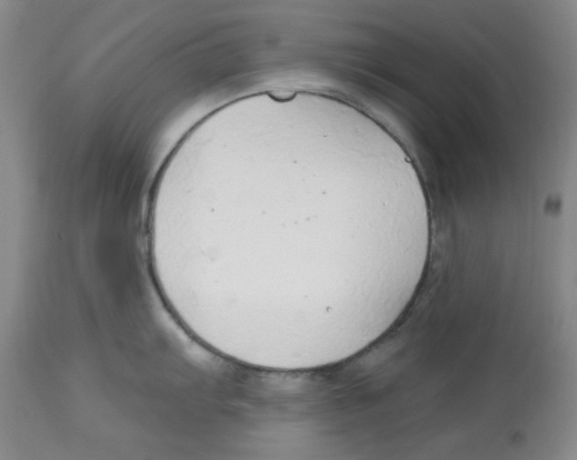 X0000113961103200910232023