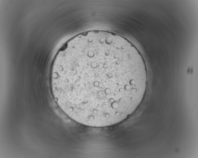 X0000113961104200910232023