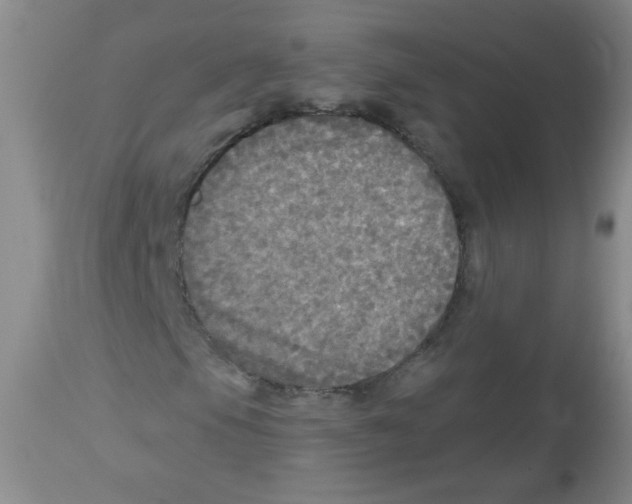 X0000113961105200910232022