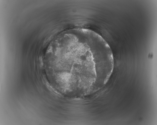 X0000113961106200910232022