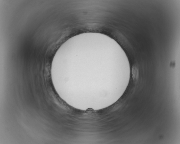 X0000113961107200910232022