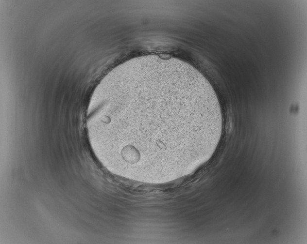 X0000113961108200910232023