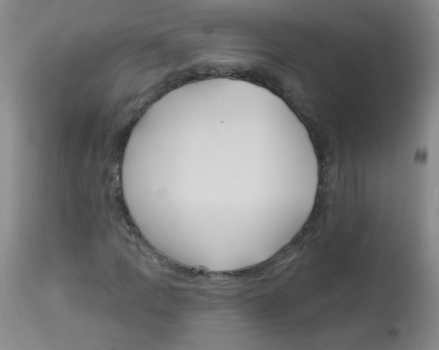 X0000113961109200910232023